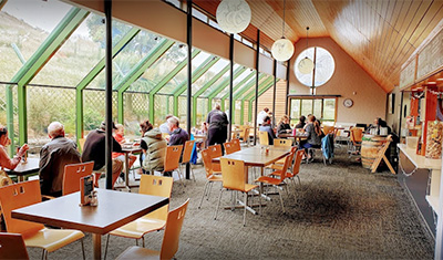 Toroa Cafe
