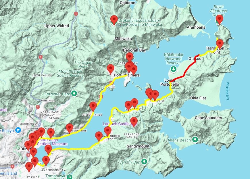 Cycle the Otago Peninsula